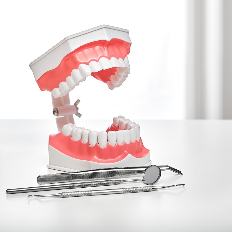 Modelo anatómico de prótesis dental para explicar el tratamiento